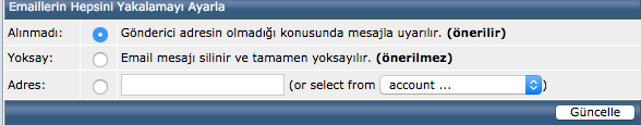 Catchallemail