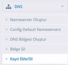 Cyber Dns