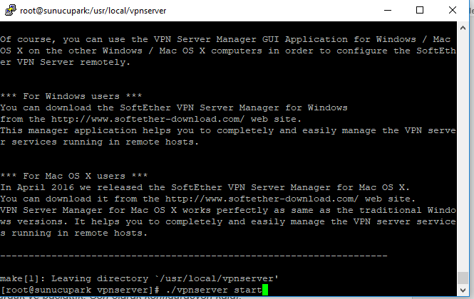 Vpnserver Start