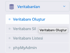 Veritabani Cyber
